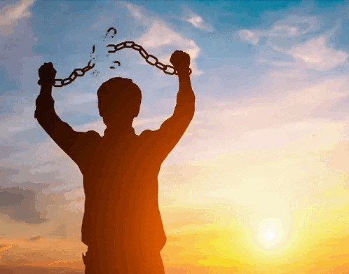 Gilberto Ranger (@gilberto_vgc) on Twitter photo 