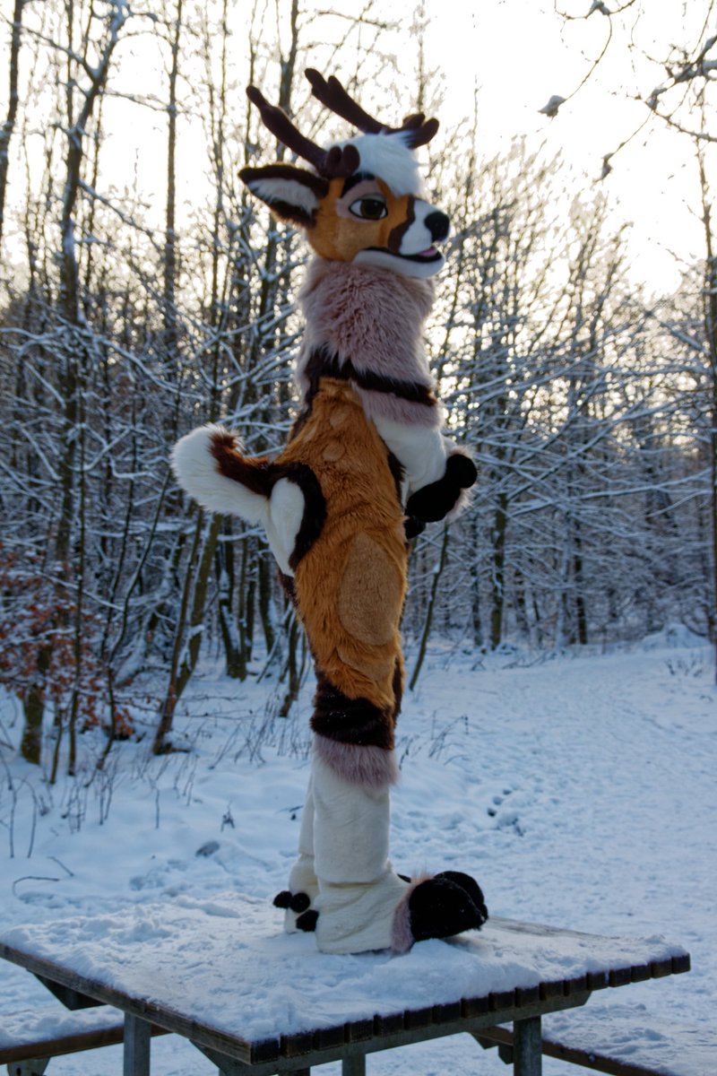 Bleat_Deer's tweet photo. Hey it’s finally Deercember it’s time to treat us deers good or there’s not presents 🎁 for Christmas 🎄 :3

#MFYMonday 
📸@TanorTheWolf https://t.co/ETxt3DBbL3