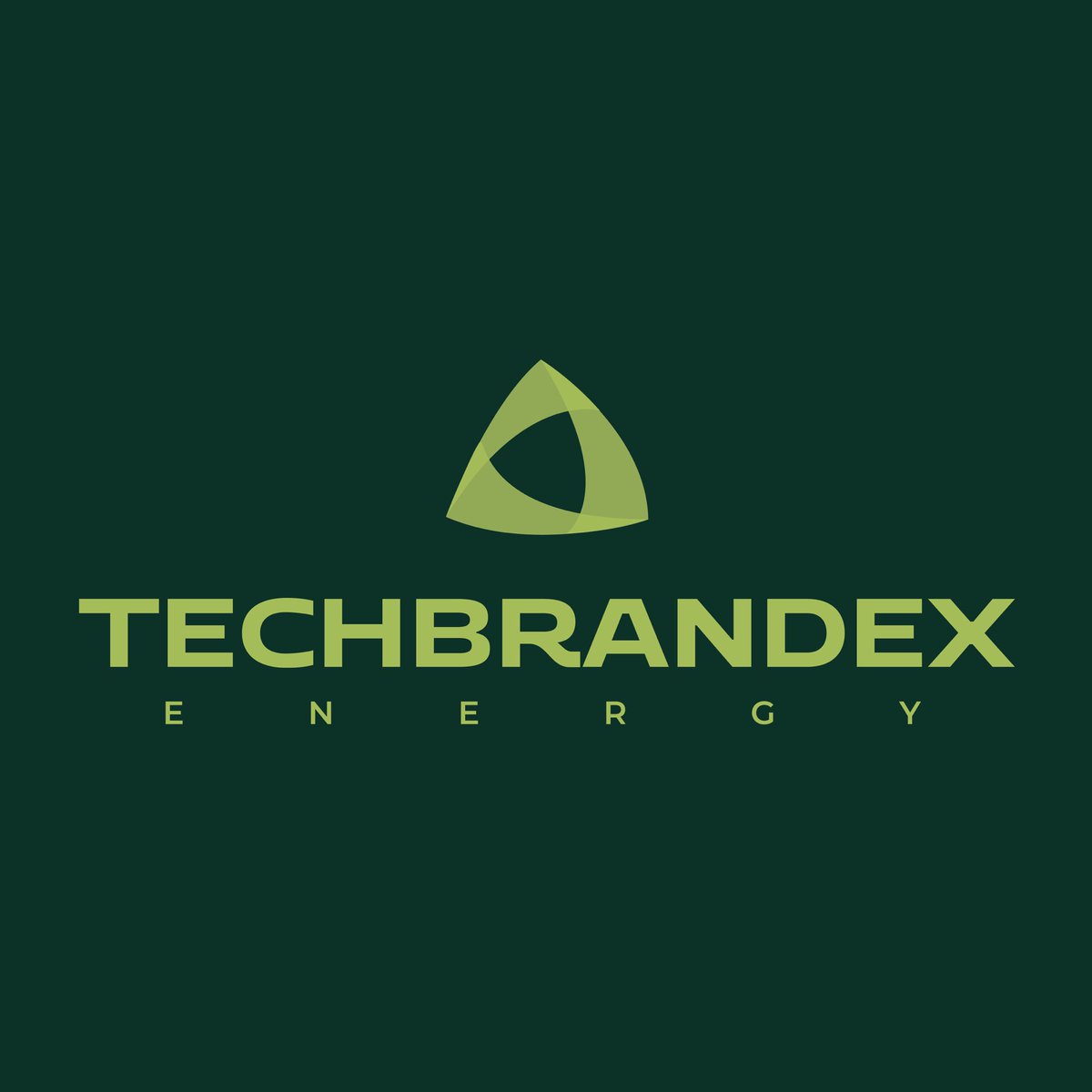 Techbrandex Energy tweet media