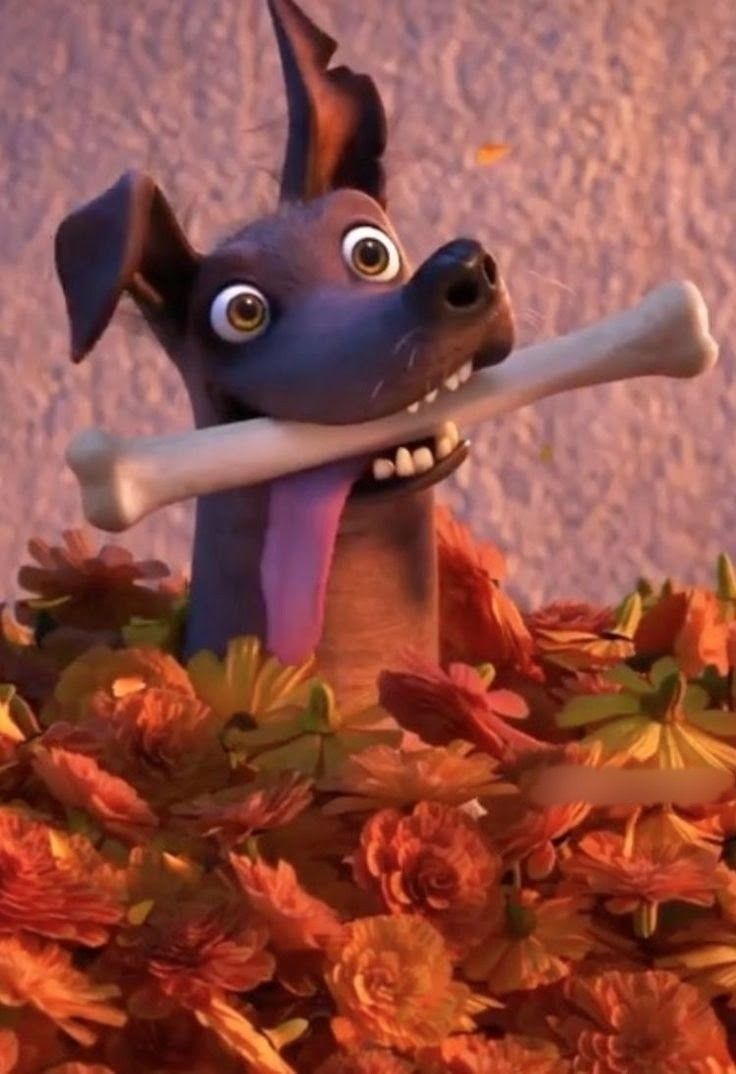 ndidi__'s tweet photo. Thia dog called Dante from Coco. https://t.co/KPfw6KUttb