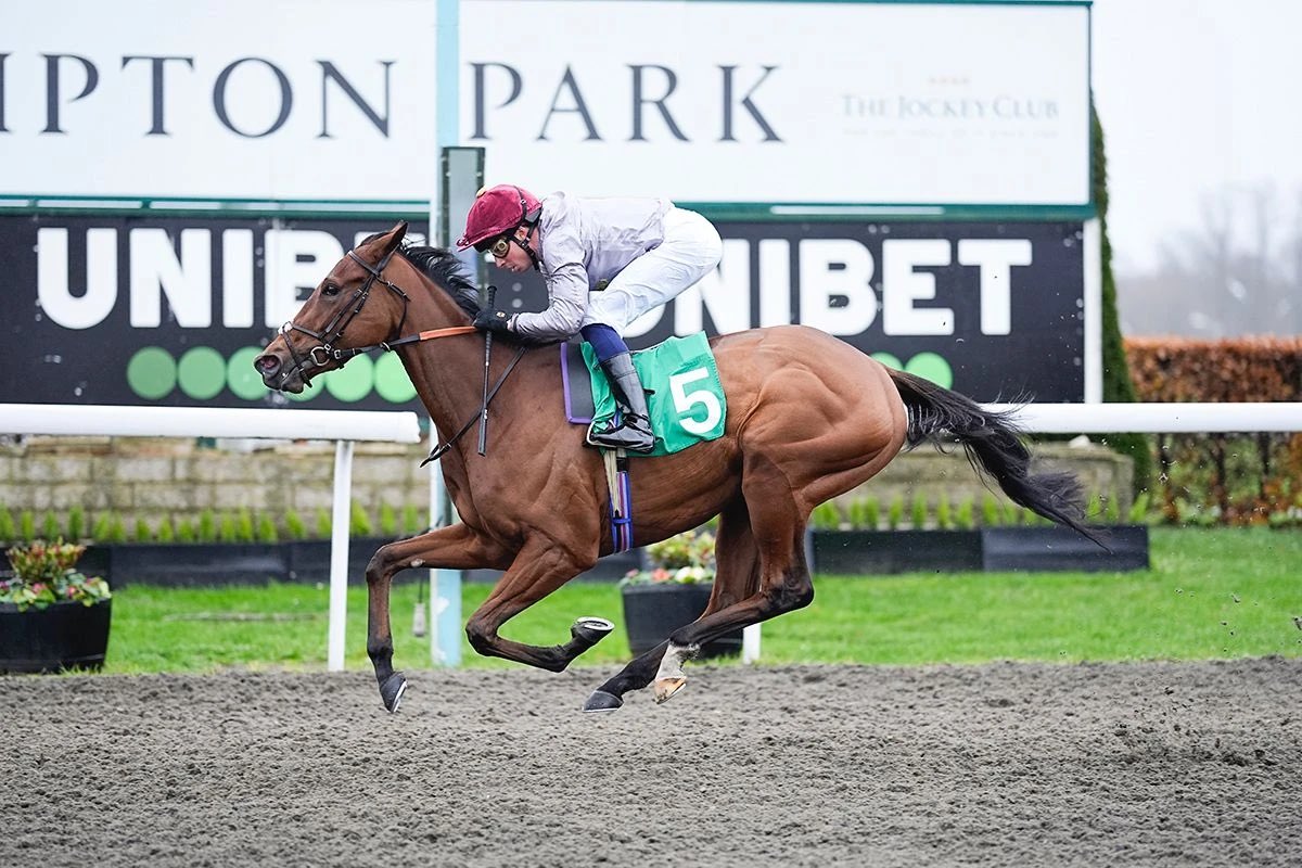 Kevin Philippart de Foy Racing tweet media