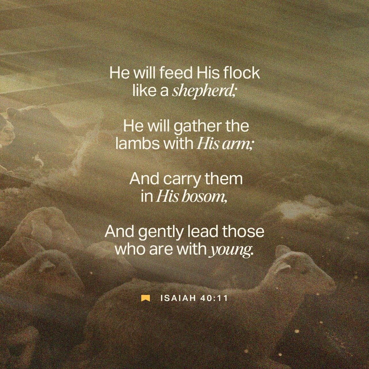 BeFreeChurch's tweet image. He will feed his flock like a shepherd. He will carry the lambs in his arms, holding them close to his heart. He will gently lead the mother sheep with their young.
#Isaiah40v11
.
.
.
#WordForTheWeek #YouVersion  #YouVersionBibleApp #BeFreeChurch #BeFreeBarrington