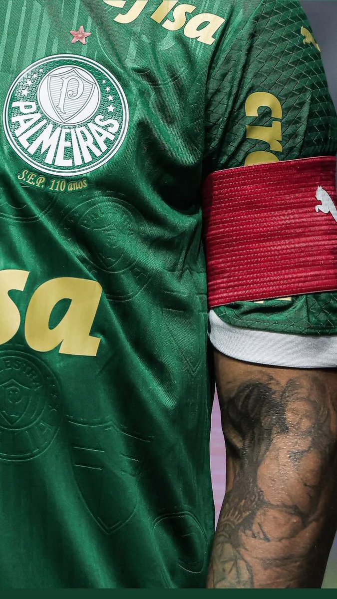 Portal do Palestra | Palmeiras tweet media