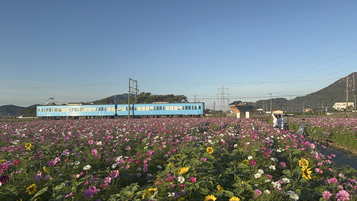 今日から12月。今年も残り少ない...
よろしくお願いします😊
今月は三浦祐太朗さんとスタレビのライブがあります🎄楽しみ💕

写真は先月の琵琶湖カンコーズの時のもの。
偶然通りかかったコスモス畑、満開のコスモス綺麗でした✨
電車も偶然通ってラッキーでした🤗

#かっくんと一緒
#コスモス畑