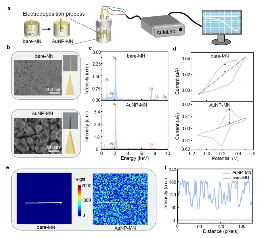 ascanet's tweet image. Guo et al. developed acupuncture-extracted in vivo spatiotemporal transcriptomics, a method engineering clinical-grade acupuncture gold microneedles as a spatial-barcoding array patch with high interface capture ability.

➡️ biorxiv.org/content/10.110…

#SingleCell #SpatialBiology