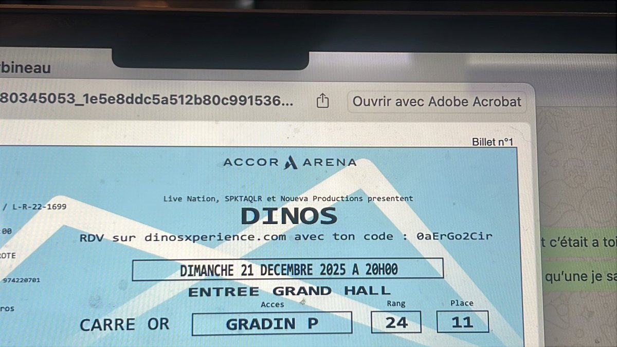 Vends places Dinos - Accor Arena - 21 décembre - carré Or
