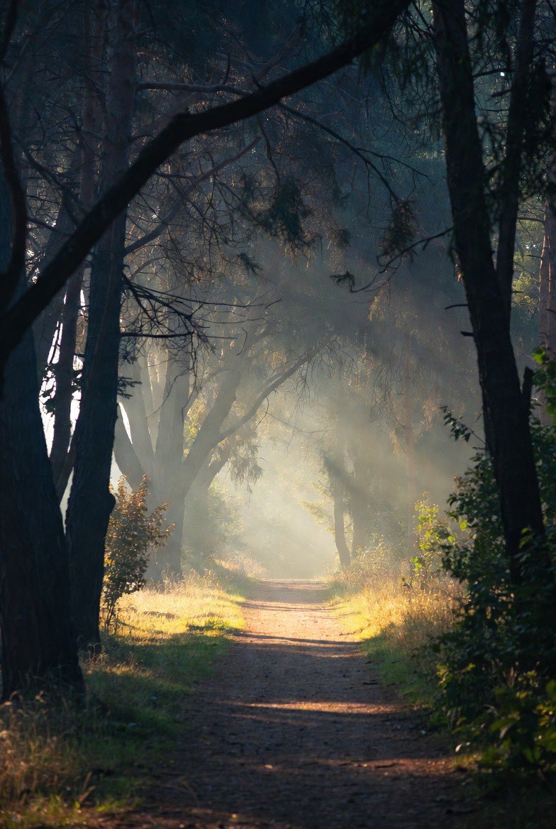 TylerMadeNew's tweet image. The Bible says the way is narrow.
Lately I picture it like there’s only room for two on that path — me and Jesus.
Not theology, just how my heart’s been seeing it lately.

#NarrowWay #FaithJourney