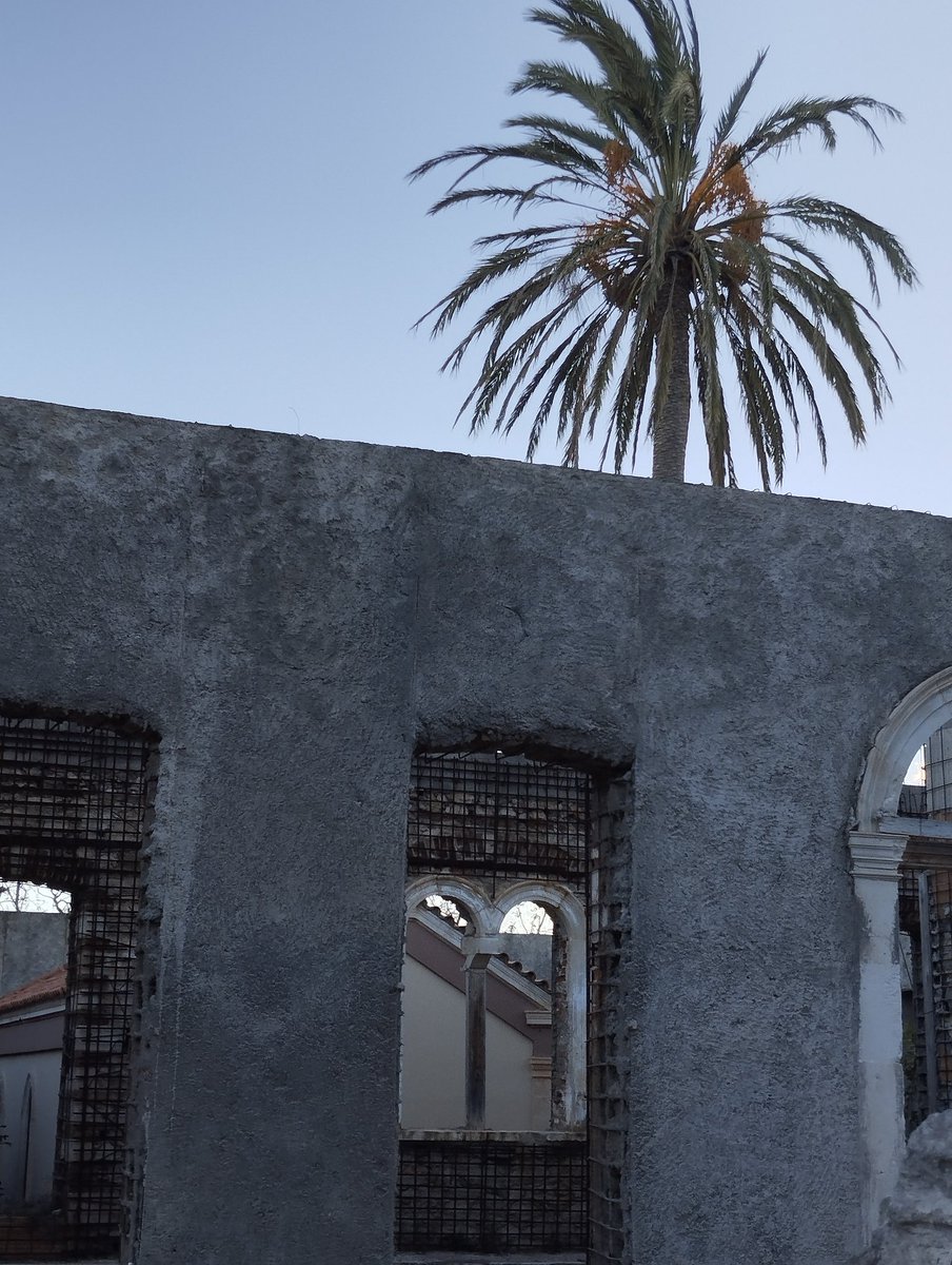 katerin87813001's tweet image. #AlphabetChallenge #WeekWForWindows inside of windows brought to mind  @TheHistoryMouse 😁