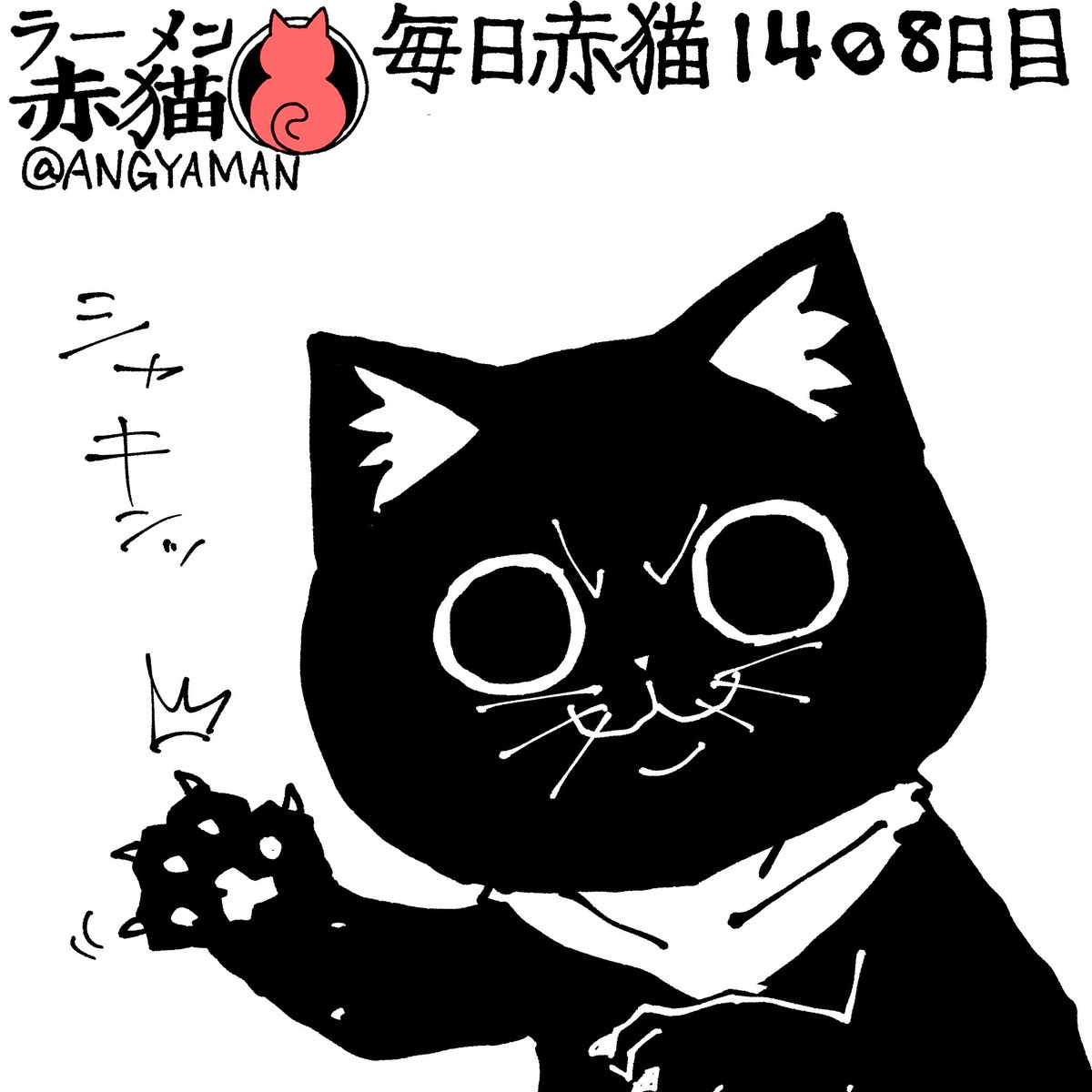 赤猫 杏