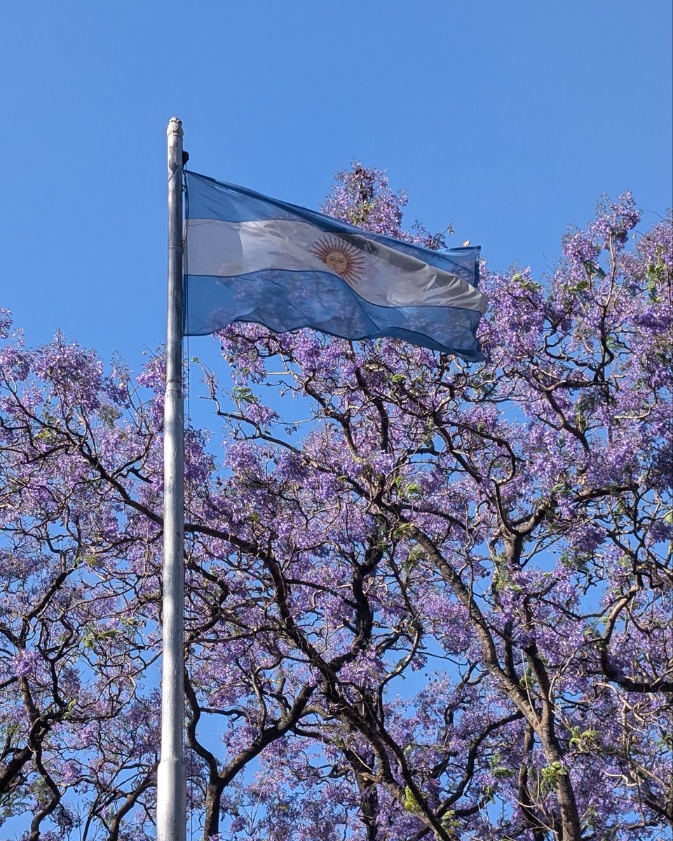 claudialess's tweet photo. Es primavera y buenos aires se pone tan linda https://t.co/scE8x78SJU