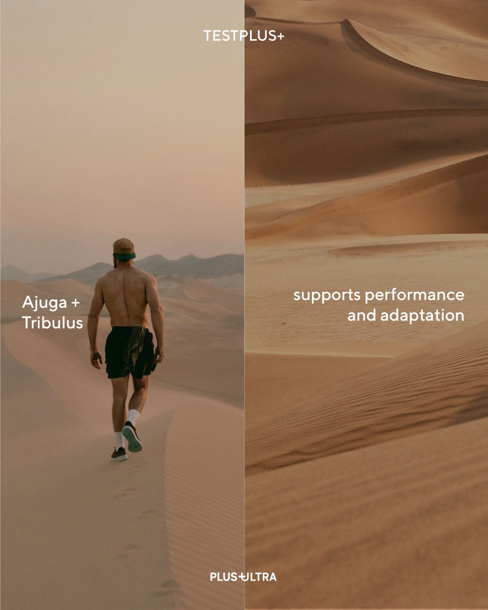 PlusPlusUltra_'s tweet image. Vitality, drive, and performance — supported by nature.
 TESTPLUS+ blends Tongkat Ali, Fadogia, Ajuga, and Tribulus.
#energyboost #performance #healthoptimization #naturalsupplements