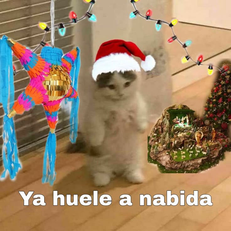 M O T I V A N D O T E (@m0tivand0te) on Twitter photo 