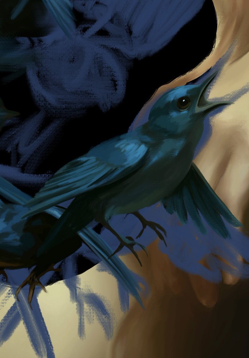 Christine_Clue's tweet image. a bird a day keeps my sanity away. Gm𓅯