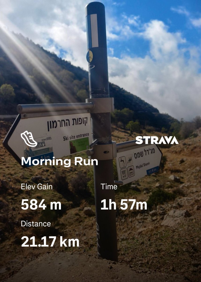 Ron Lerman | רון לרמן tweet media