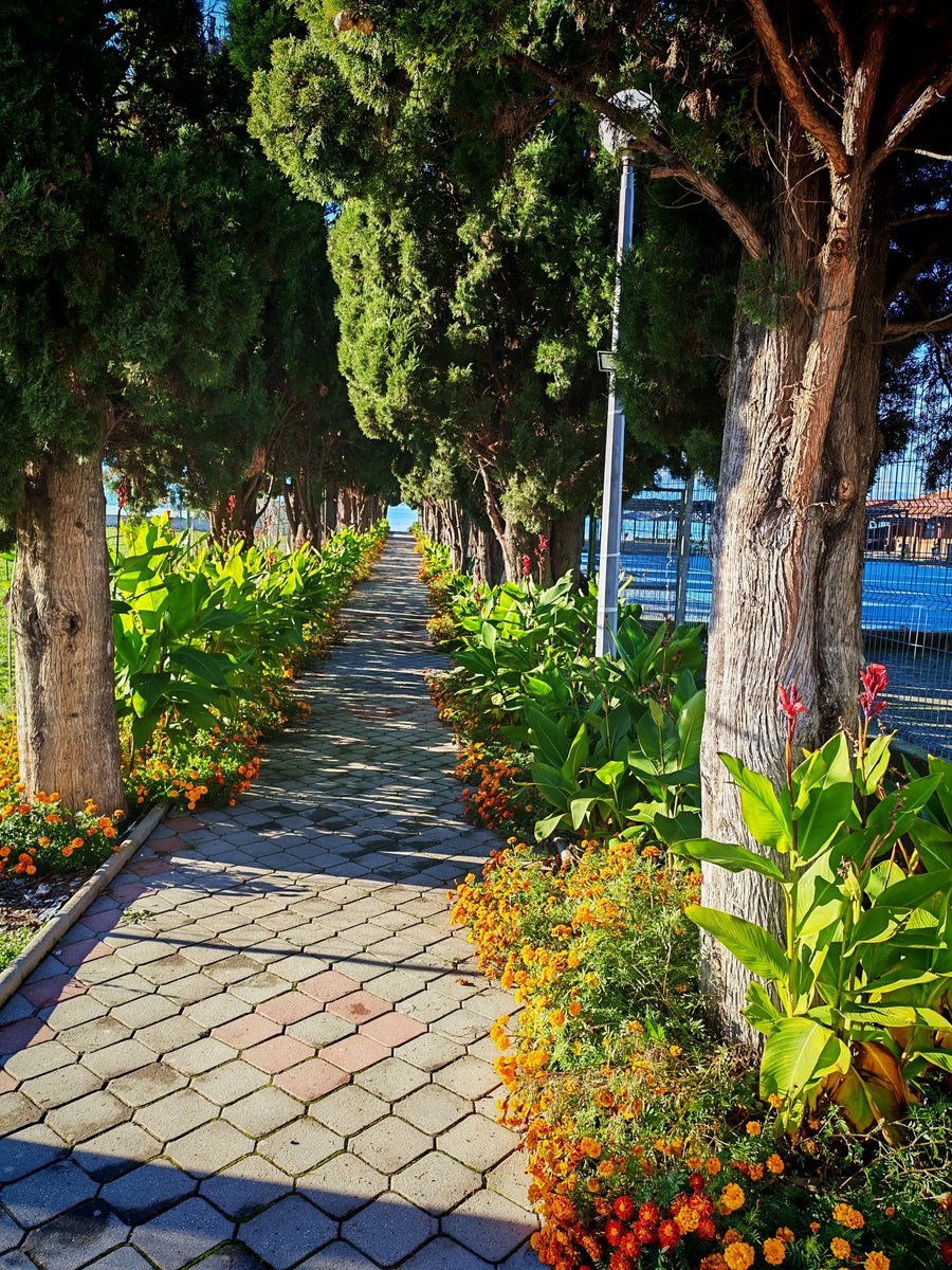 shopkarishte's tweet photo. #Ohrid
#Decem https://t.co/0lYbmQFqxM