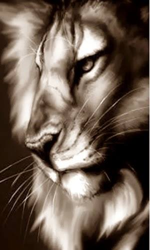 يا أول حاجاتي… إنت البداية بتاعتي، والذكرى اللي عمرها ما بتمسح.