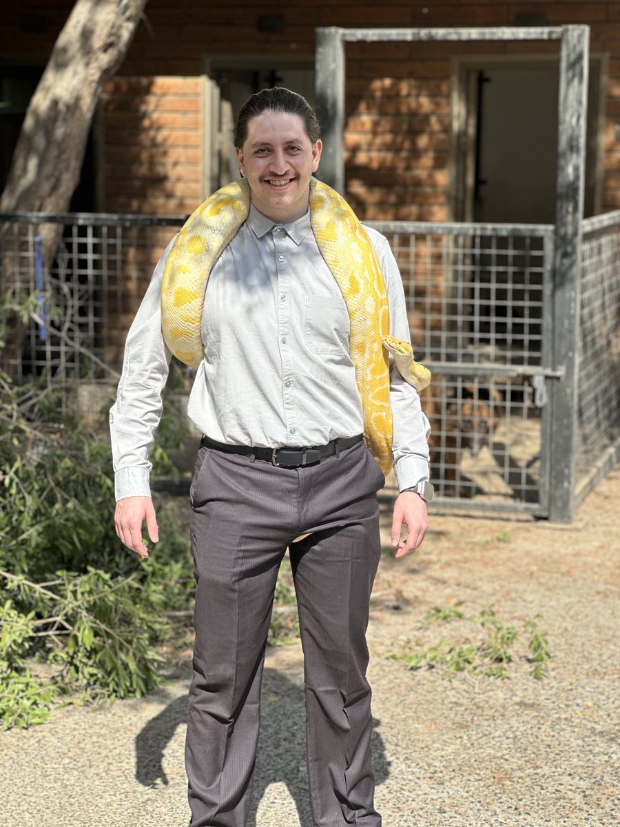 Mezokashi tweet media