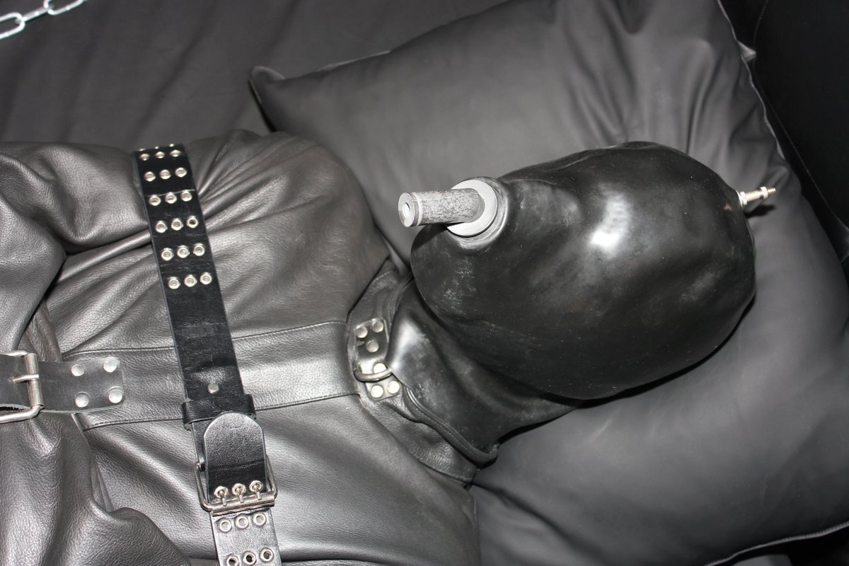 FrenchGimp (@frenchgimp) on Twitter photo 