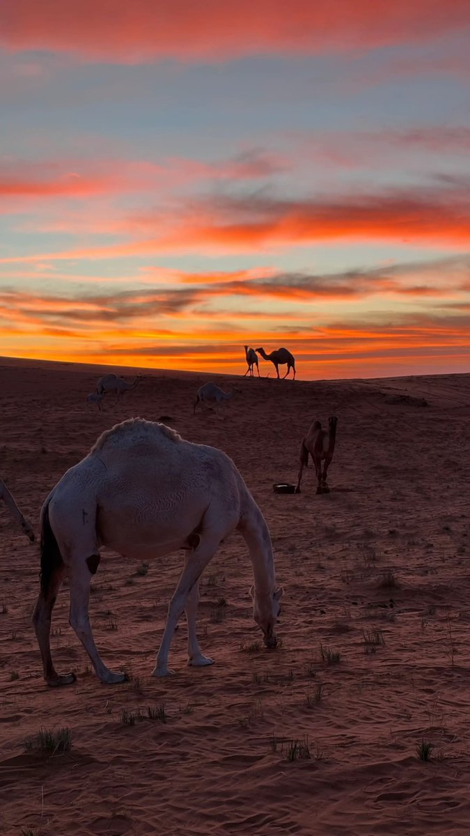 ß (@iyaxsr) on Twitter photo 