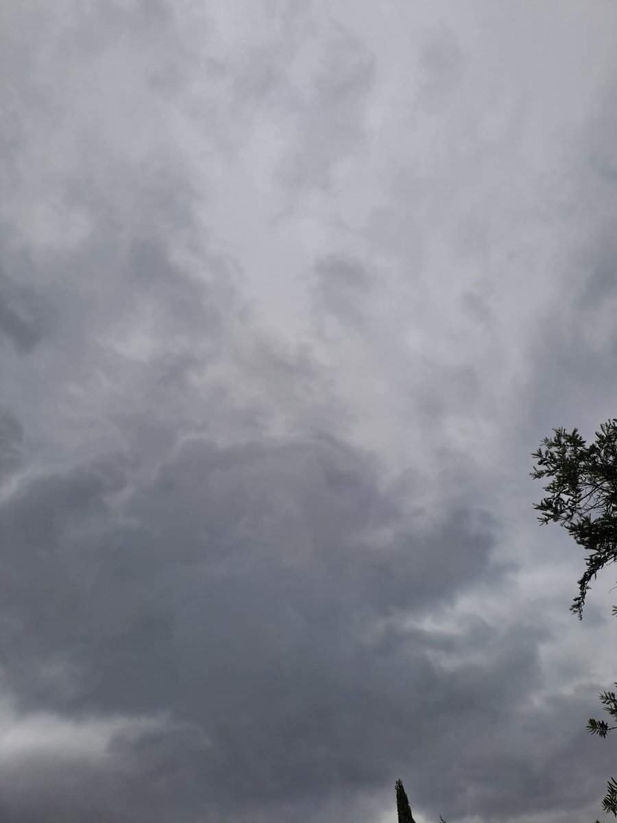 ReenvalSA's tweet image. 1 December 2025. Near #Fourways, #Gauteng.
📷Diane Small