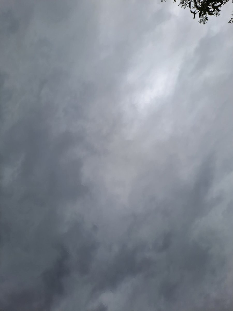 ReenvalSA's tweet image. 1 December 2025. Near #Fourways, #Gauteng.
📷Diane Small