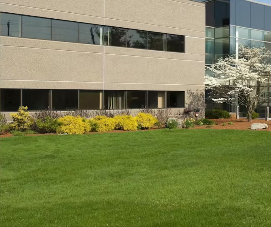 Goodwill NOW tweet media