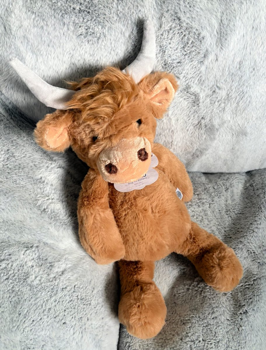 Kimberly Vetrano tweet media