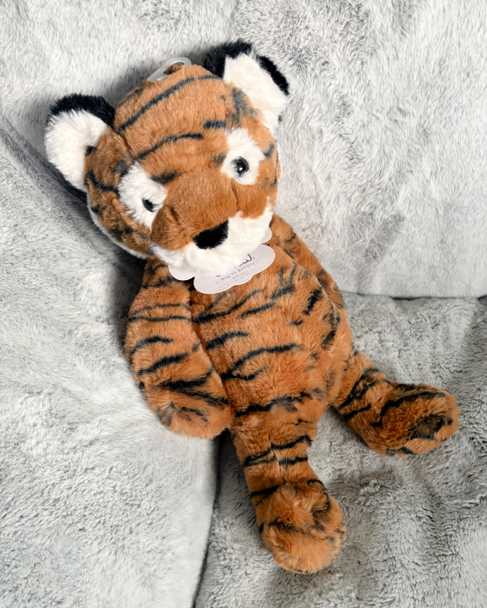 Kimberly Vetrano tweet media