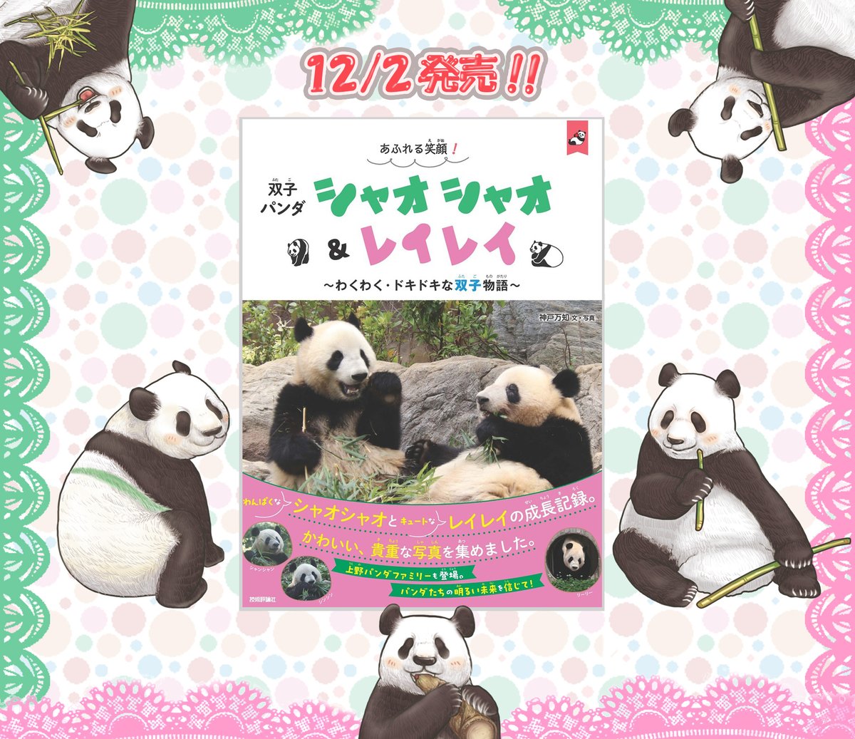 杏梅(こうめ) (@koume696) / Posts / X