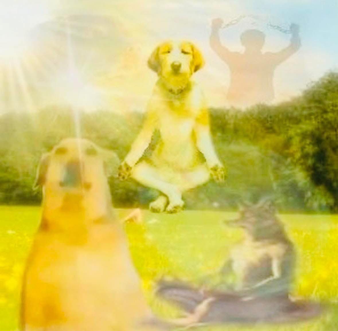 memefeos's tweet image. yo cuando falto a la universidad: