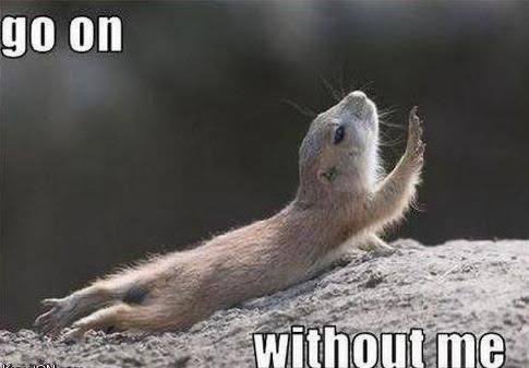 ₿ Chad tweet media