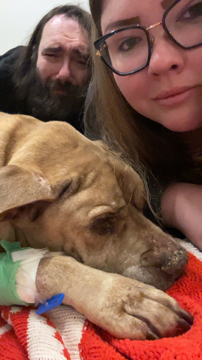 PidgeThings's tweet image. We lost our pup yesterday. We were NOT prepared given that the vet had estimated a year. This is a heartbreak like no other. My Pikachu was the goodest boy who came to us later in his life. It was a privilege to love &amp;amp; be loved by him the last 6 years. We snuggled until the end.