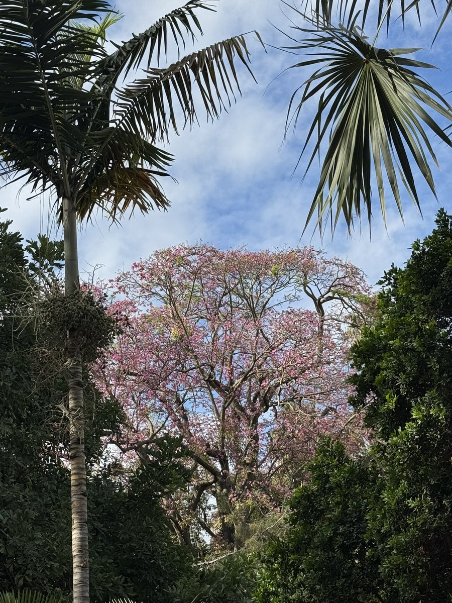 Van koud en triest naar warm en helder!
Wat hebben we het toch luxe