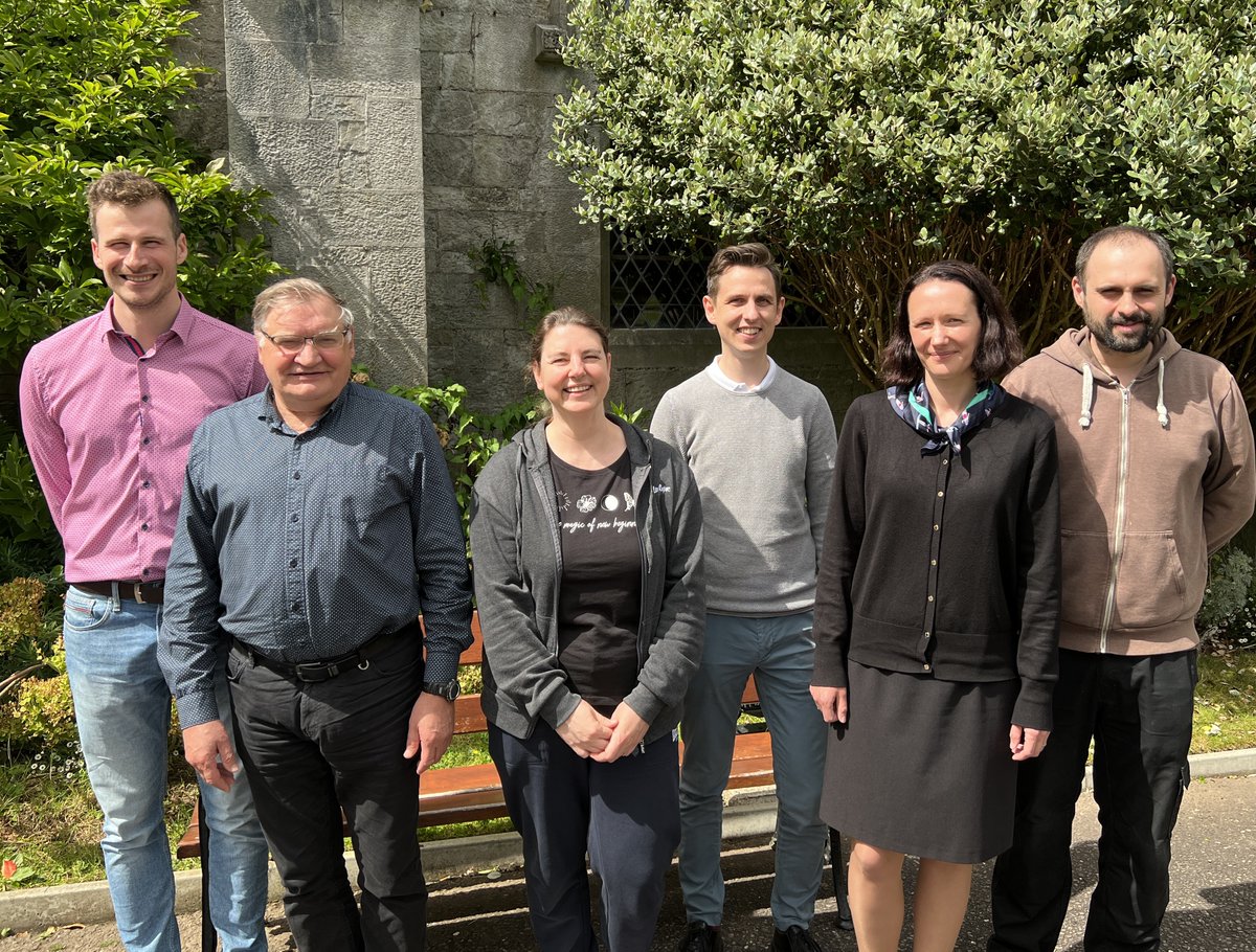 TRANSLATE tweet media