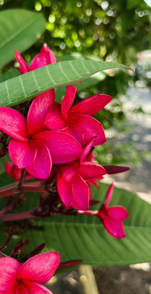 Mi noviembre en 4 fotos, entre Buenos Aires y Asunción.