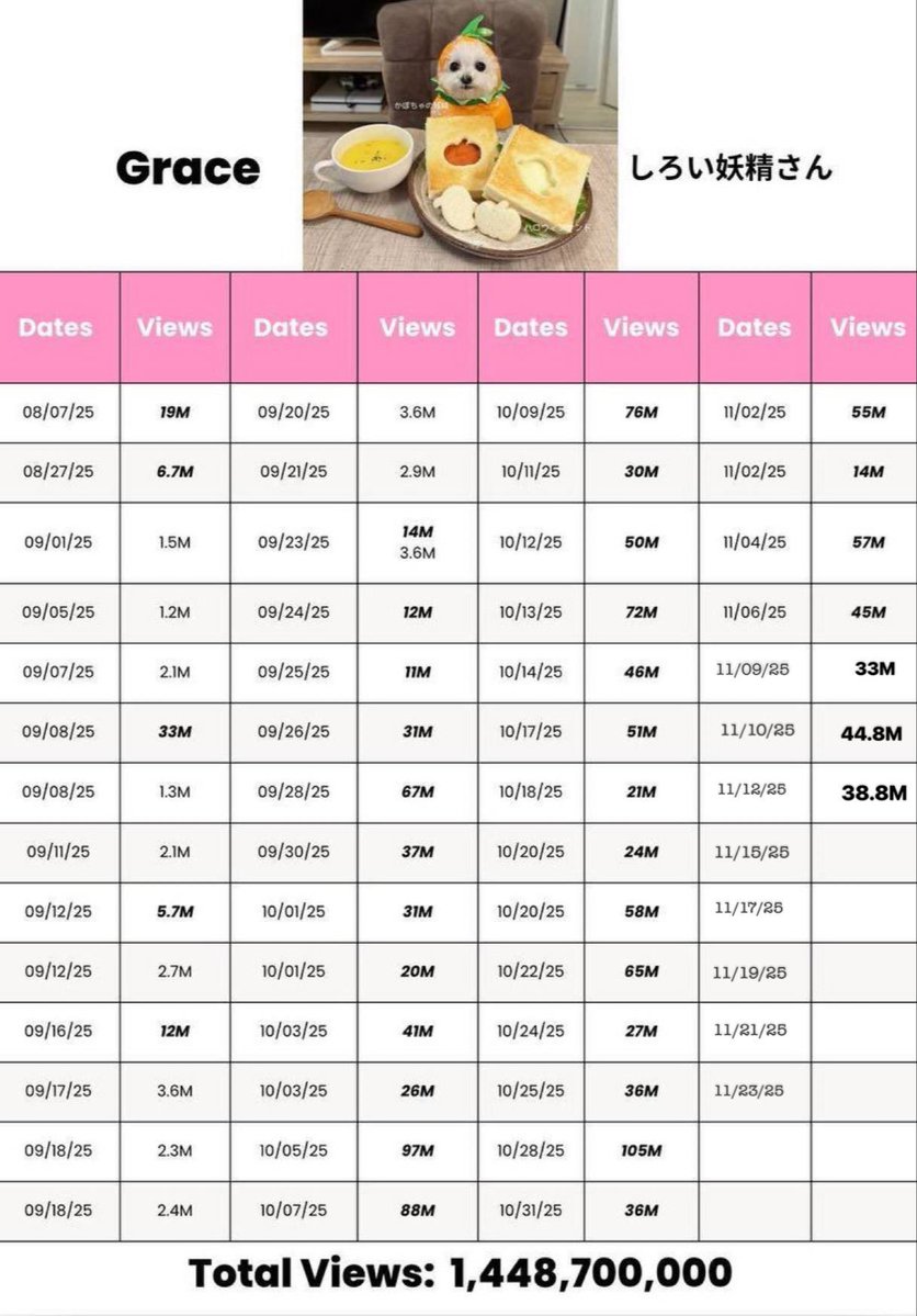 tanosCalls's tweet image. Fees wallet claimed 

Dex with new links updated 

New banner updated 

CTO started. 

$KORI we are coming for you.

Top 1 dog viral on x 

Over 1.4B of views 

$GRACE 

DdGNpQqUiVMu6EnE8HeEfDDSiLQZQratbtxtGAFfpump