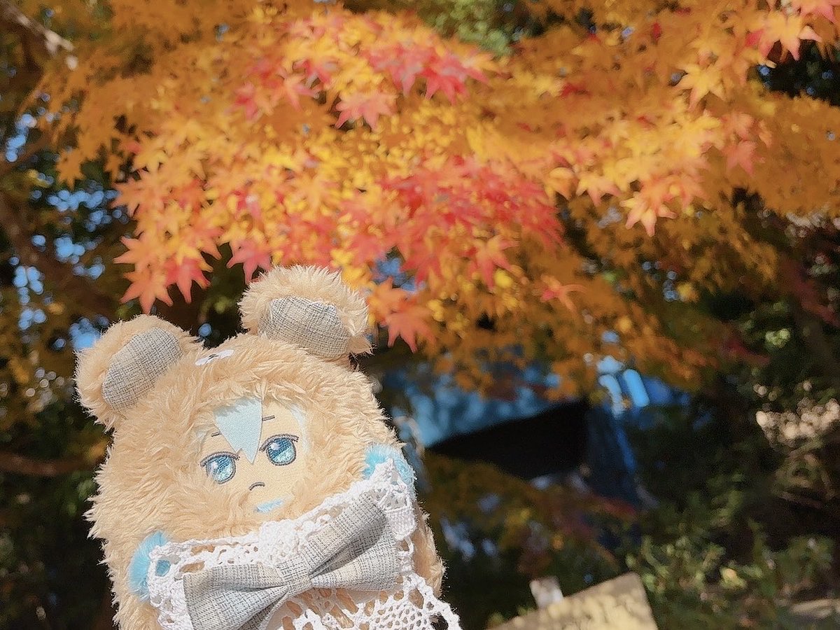 環くん、ダチョウだよ
環くん、紅葉だよ