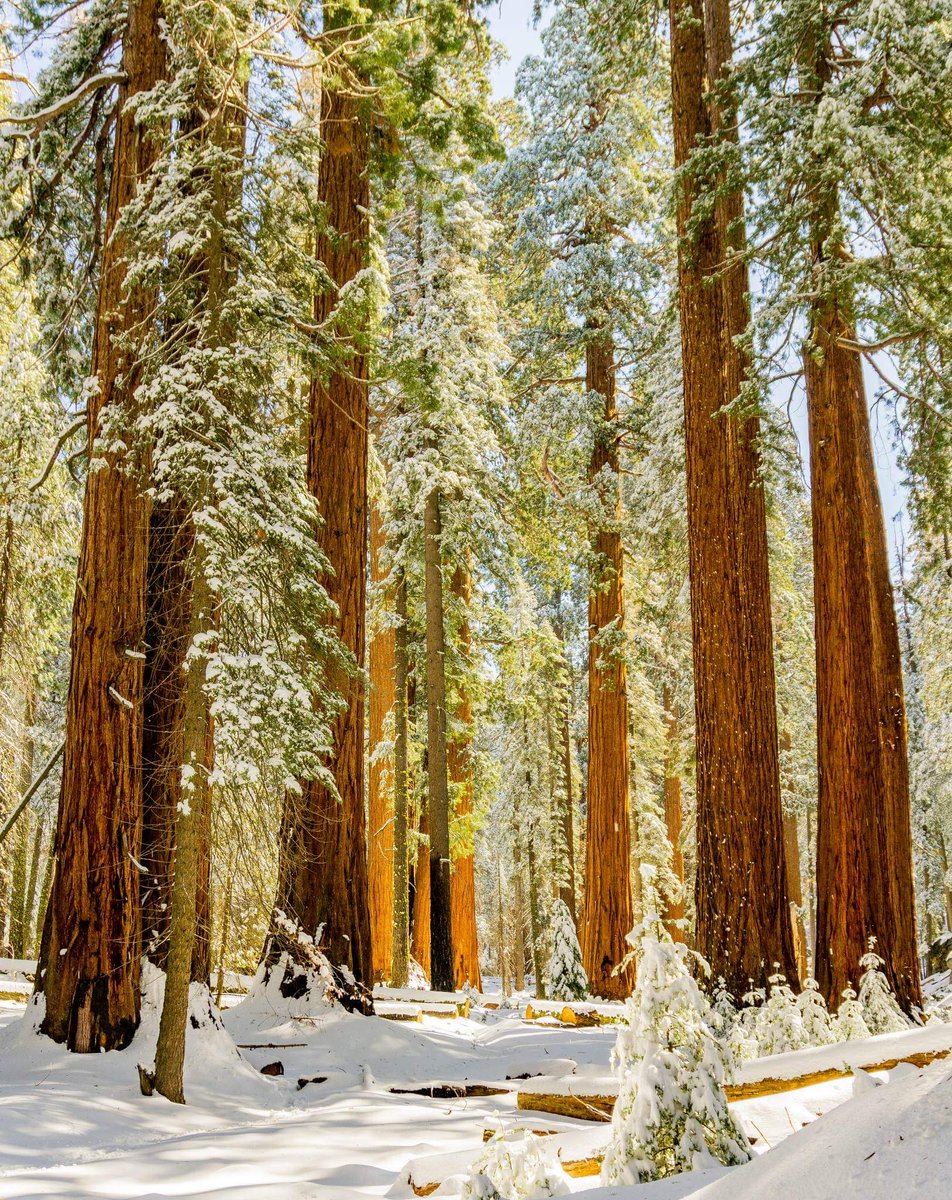 When winter comes around, it brings the opportunity to experience public lands in a whole new way. But colder weather can present its own set of risks and can make your trip challenging if you are unprepared. ❄️

Photo by Zach Kunselman