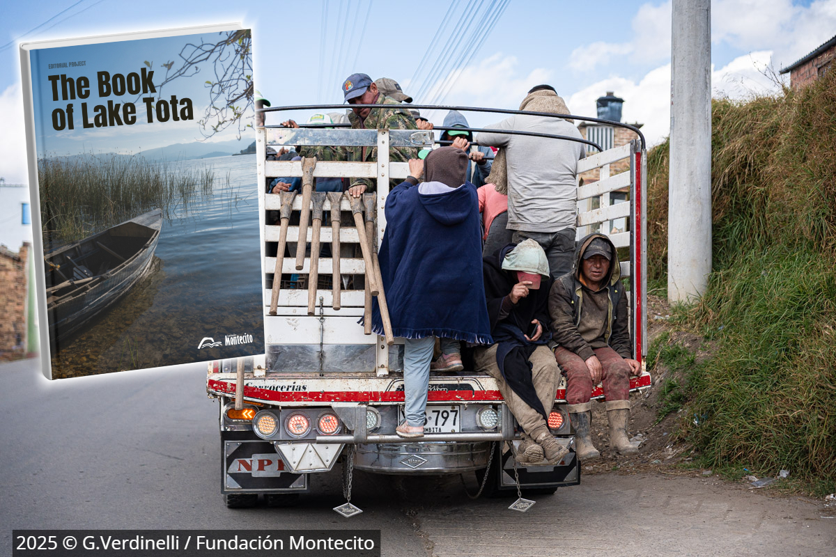 Fundación Montecito tweet media