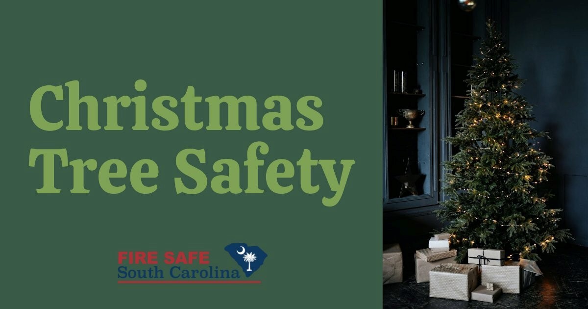 FireSafeSC tweet media