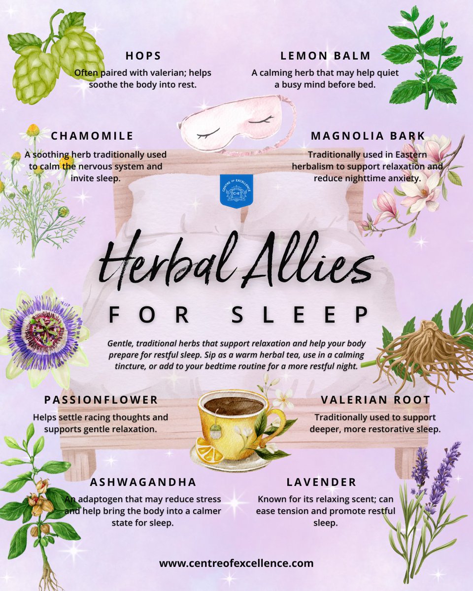 Struggling to switch off? These soothing herbs may help you unwind and ease into a more restful night 🌙💤

Explore more with our Master Herbalist Diploma Course — enrol today with code CYBERMONDAY ✨