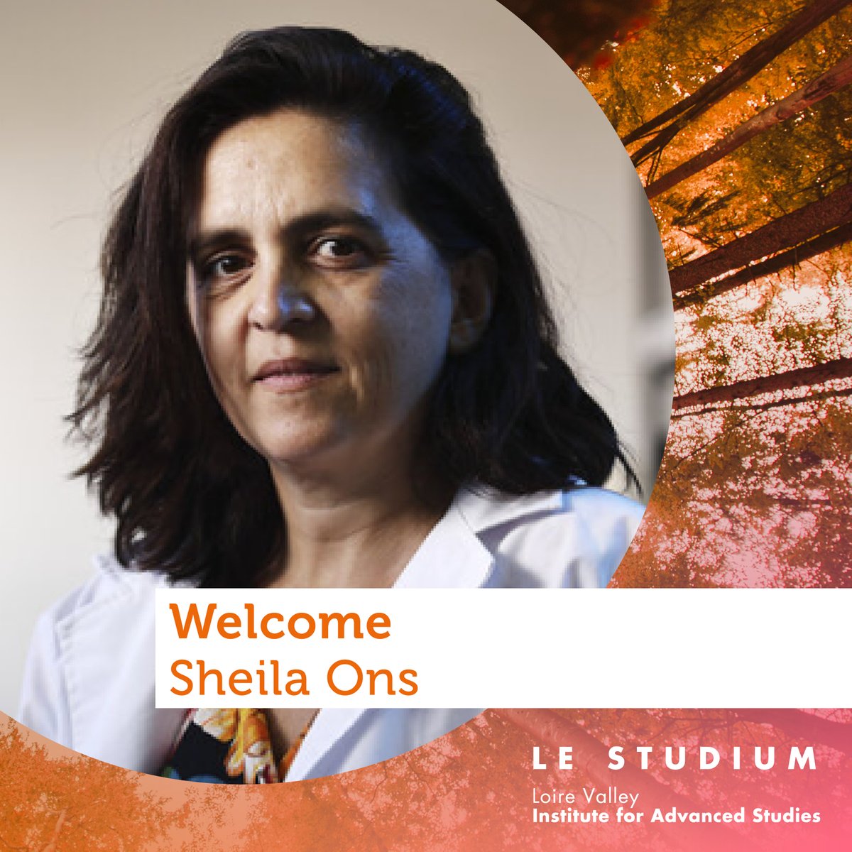 LE STUDIUM tweet media