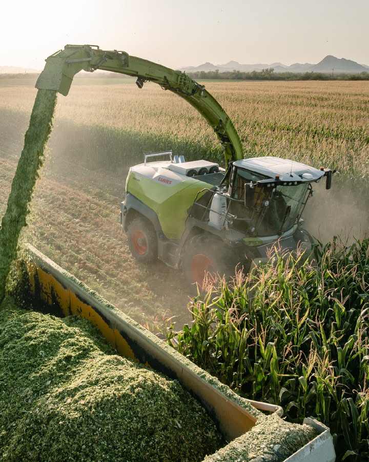 Foster's Agri-World tweet media