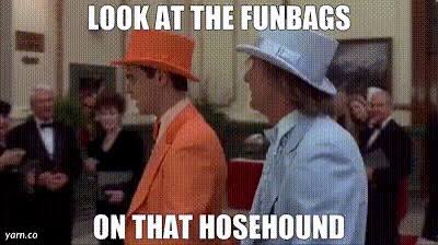 Dr. Reginald “Reggie” Fiddlesticks (Obgyn) tweet media