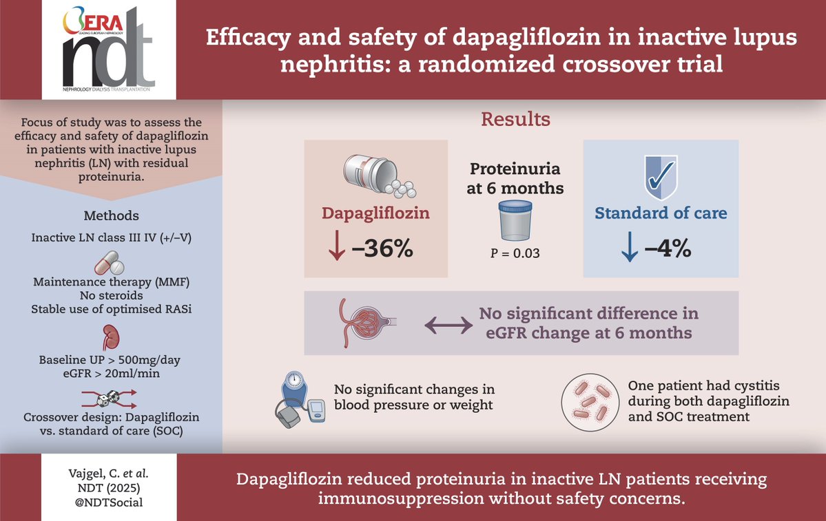Efficacy and safety of dapagliflozin in inactive lupus nephritis: a randomized crossover trial

doi.org/10.1093/ndt/gf…