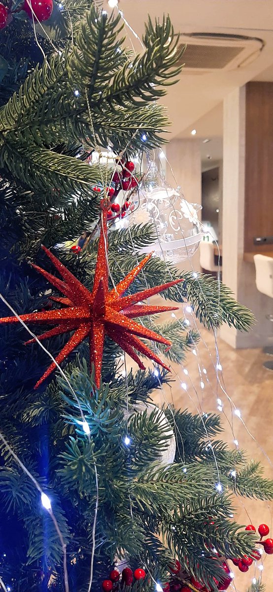 Hoy queremos compartir con vosotros nuestra decoración navideña. ❄☃🎄 ¡Nos encanta como ha quedado! 😍   bit.ly/3laWwy6 #HotelMadridCentro #HotelMadrid  #EscapadasMadrid #Navidad2025 #NavidadEnMadrid #EscapadasNavidad