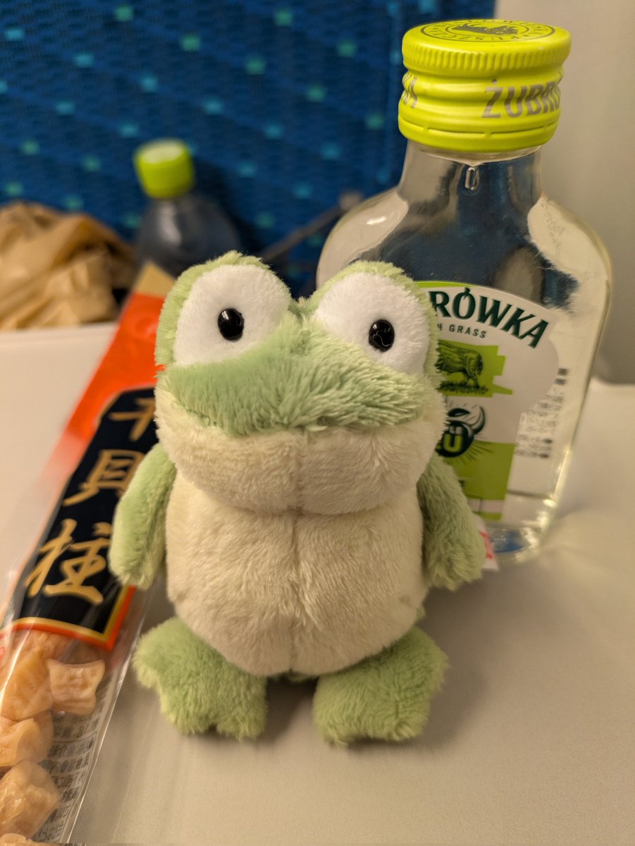 papershell45v's tweet image. リトルワールドで一目惚れしたカエル
帰るぜよ、カエルだけに