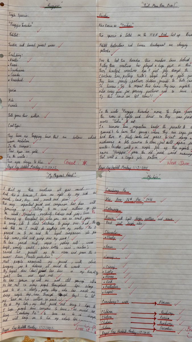 waddells74's tweet image. Think 🤔 more than once!…. 🦌 💝 it’s funny … if someone said “Dasher.. Dancer… Donner…Blitzen… we would connect … But what if they said “Rangifer…tarundus… ICUN red list ⚠️ Why I love Cranberry 🦌 pie xx 😀 #conservationproblems 🦌 Not just for #Christmas2025 🦌 💝
