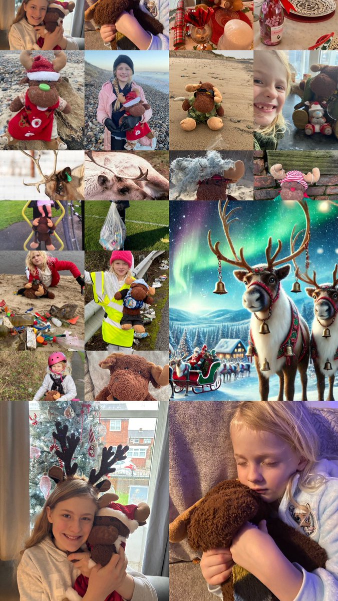 waddells74's tweet image. Think 🤔 more than once!…. 🦌 💝 it’s funny … if someone said “Dasher.. Dancer… Donner…Blitzen… we would connect … But what if they said “Rangifer…tarundus… ICUN red list ⚠️ Why I love Cranberry 🦌 pie xx 😀 #conservationproblems 🦌 Not just for #Christmas2025 🦌 💝