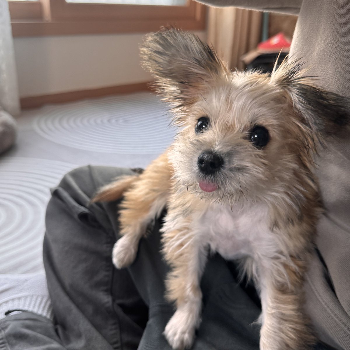 HaruDiary1102's tweet image. 하루의 인생네컷